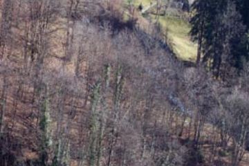 Frazione Oro - Vista Panoramica