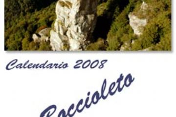 Sfoglia la galleria