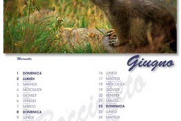 Calendario 2008 - Giugno (Ft. Giulio Veggi)